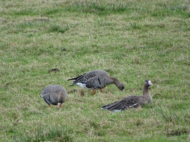 也见证了团 也见证了团
