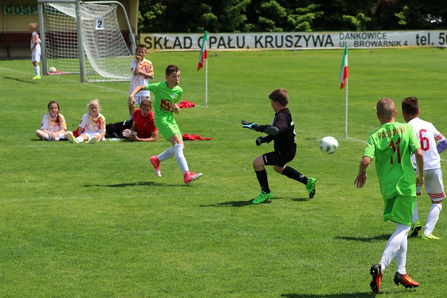 职业生涯 职业生涯