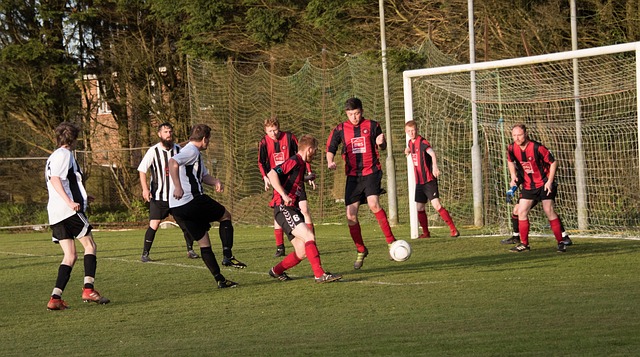 体造型的亮 体造型的亮