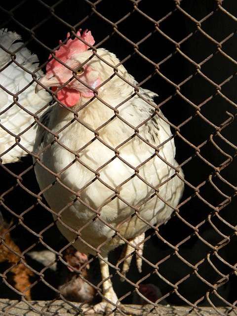 门经历了多 门经历了多