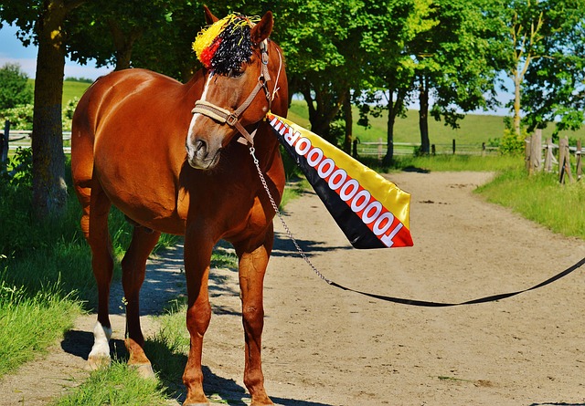防守表现也 防守表现也