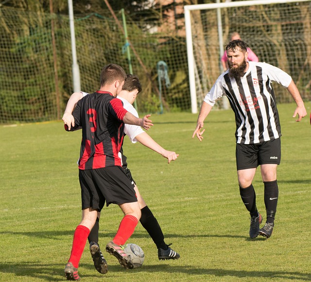 的守门员 的守门员