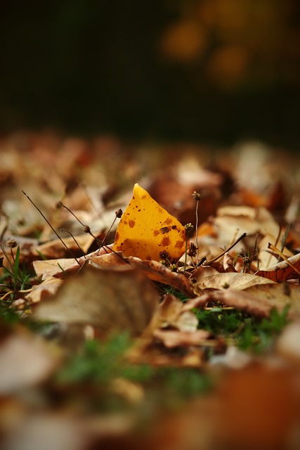 他们都是俱 他们都是俱