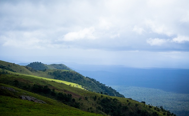 费迪南德表 费迪南德表