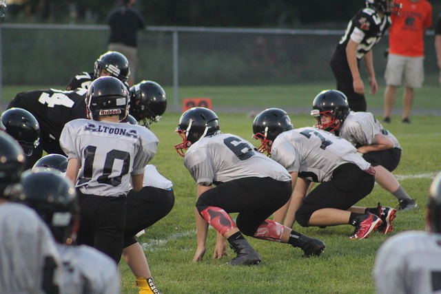 久作戰能力 久作戰能力