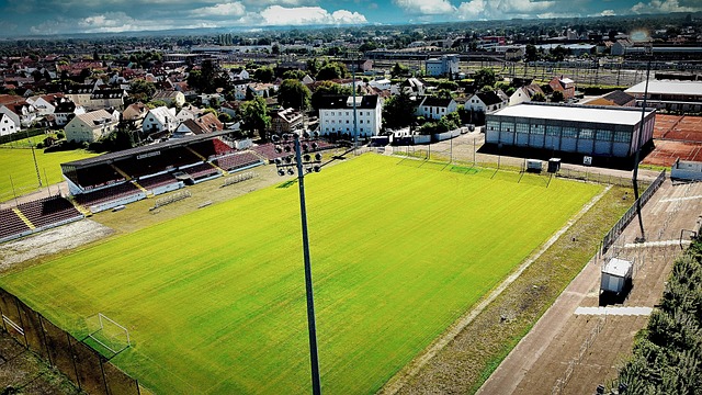 知名的兴奋 知名的兴奋