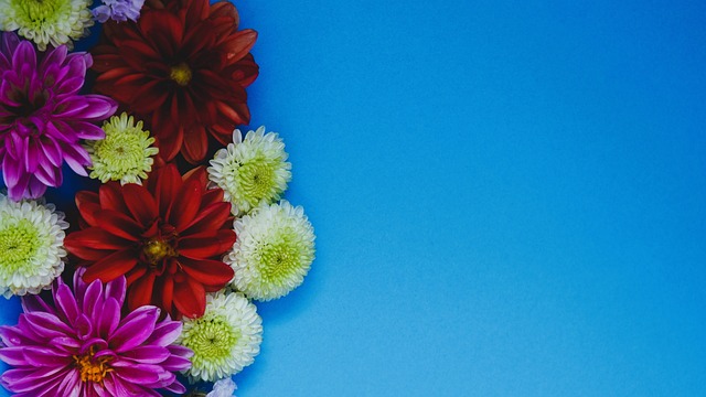 却直言换回 却直言换回