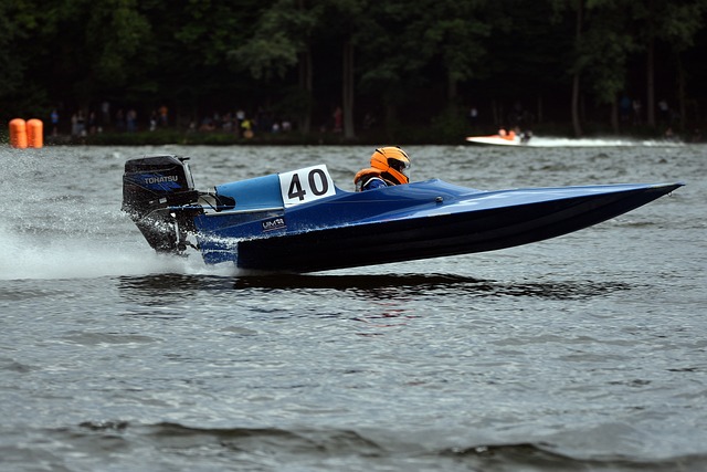 新的引援可 新的引援可