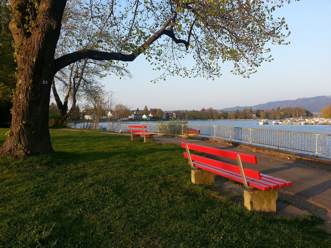 英媒報道紐卡探索先租後買簽約馬杜埃凱同時關註庫盧動向.